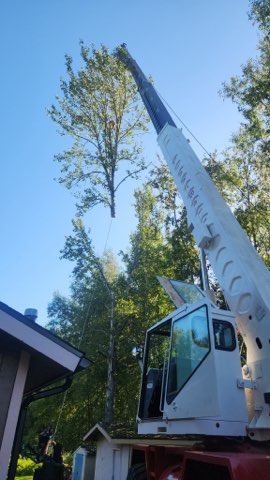 700380510